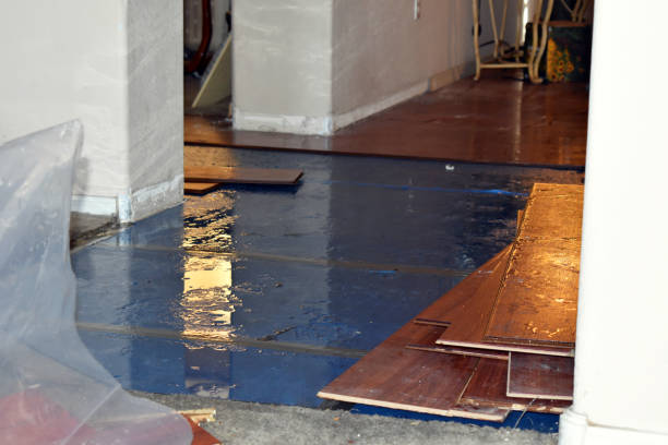 Professional Flood Damage Cleanup technician working in North Benton, OH